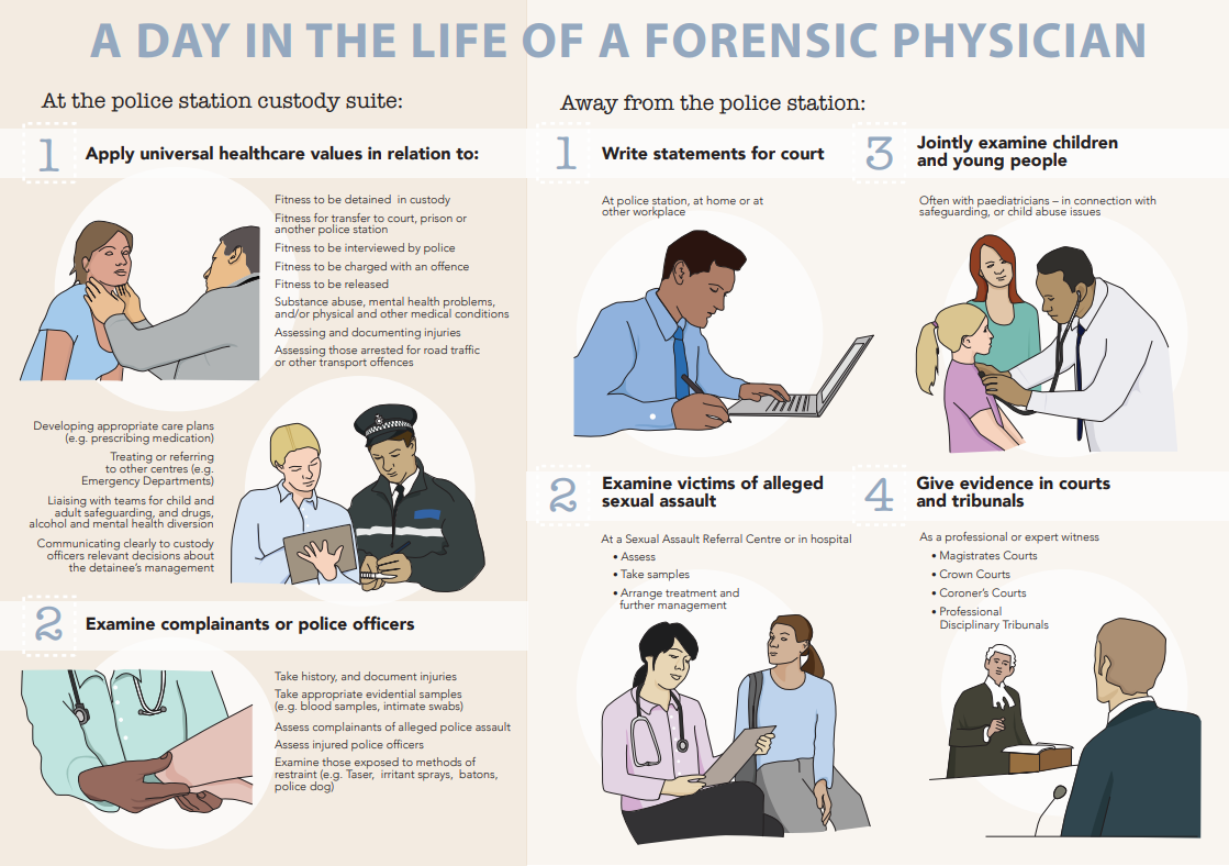 Infographic Forensic Physician